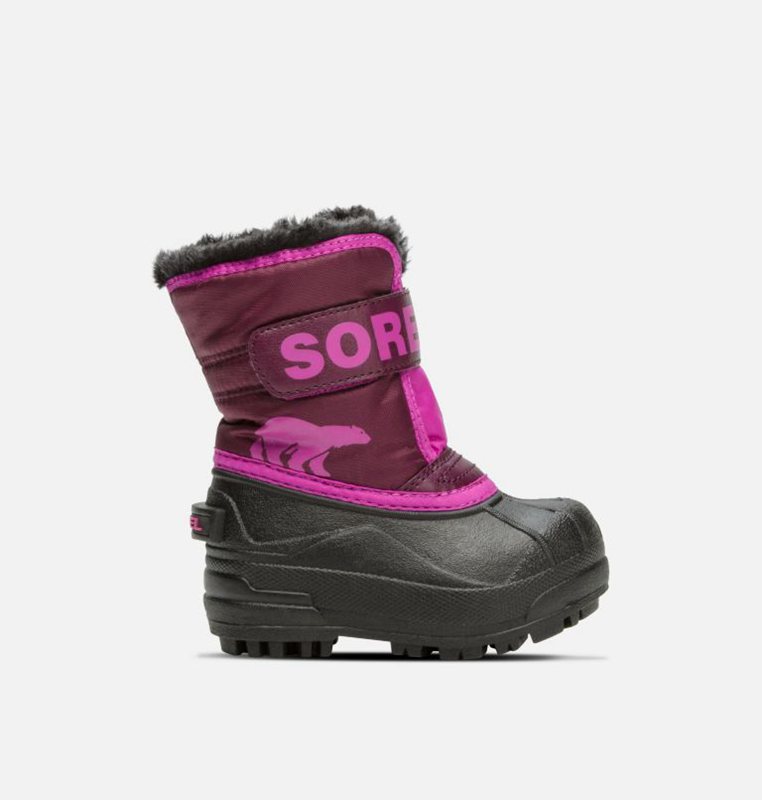 Sorel Barn Vinterkängor Lila/Rosa/Svarta - Toddler Commander™ - WCS-084973